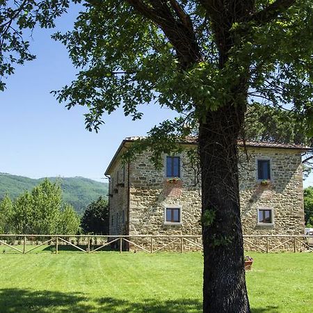 Agriturismo La Concezione Кастильон-Фибокки Экстерьер фото