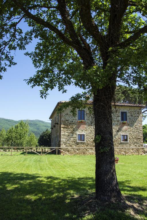 Agriturismo La Concezione Кастильон-Фибокки Экстерьер фото