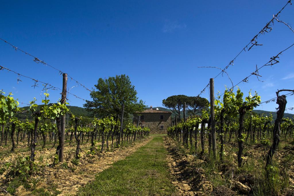 Agriturismo La Concezione Кастильон-Фибокки Экстерьер фото